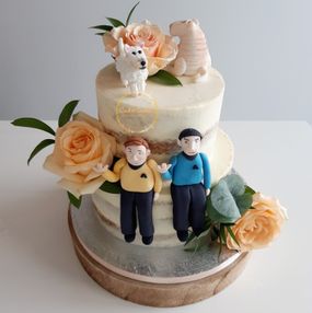 Two Tier Semi-Naked Star Wars Wedding Cake